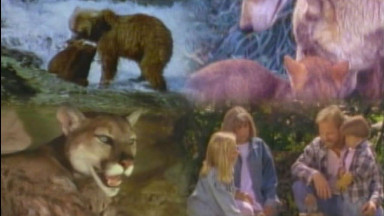 Marty Stouffer's Wild America backdrop