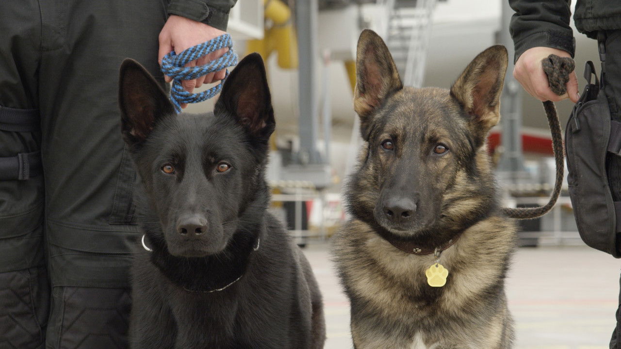 Jak to lítá na letišti backdrop