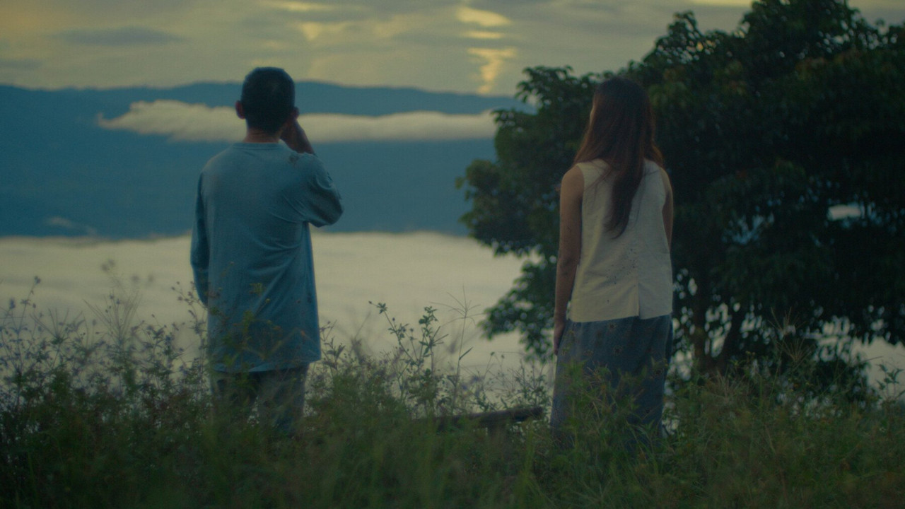 Beneath the Firefly Veil backdrop