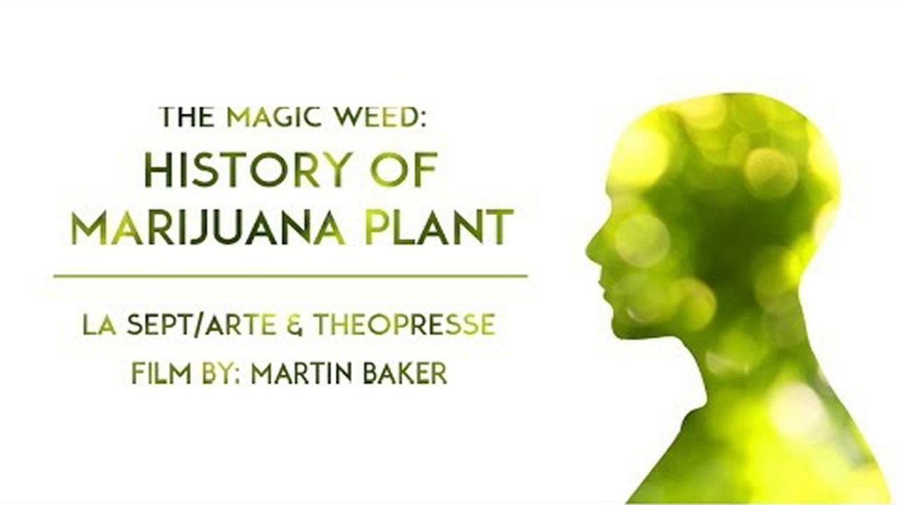 The Magic Weed: History of Marijuana Plant backdrop