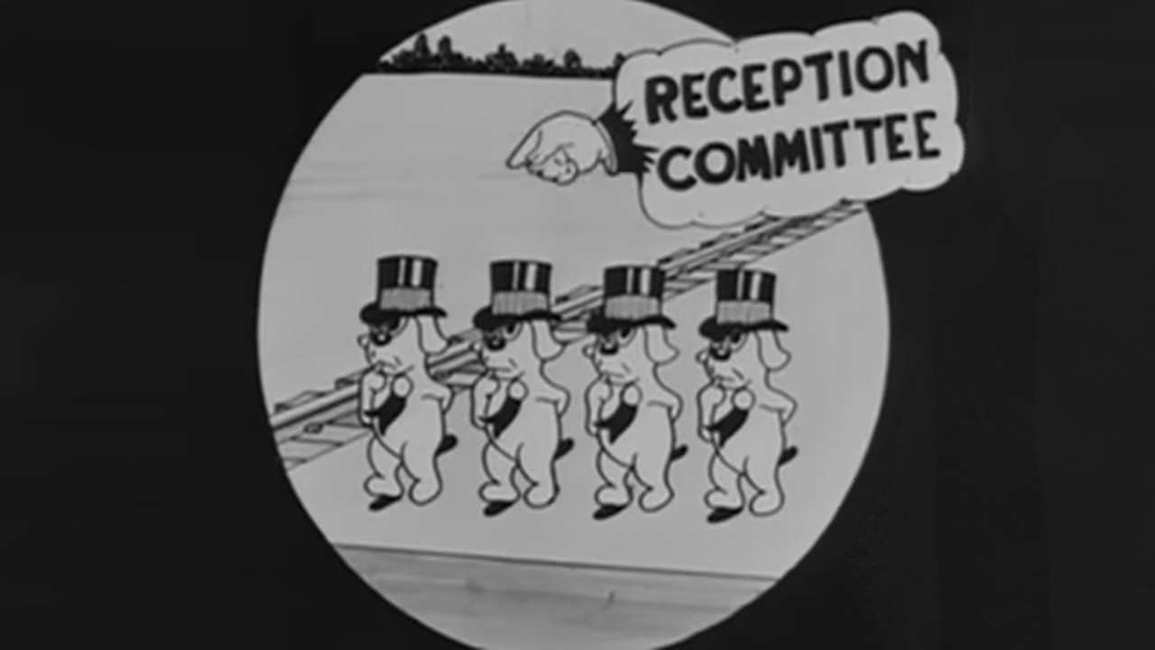 Alice's Wonderland backdrop