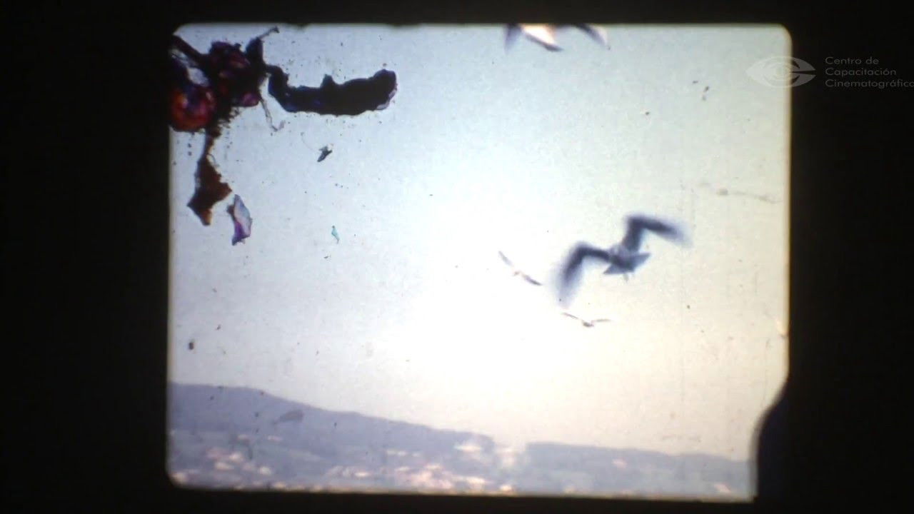 Lupulos' House backdrop