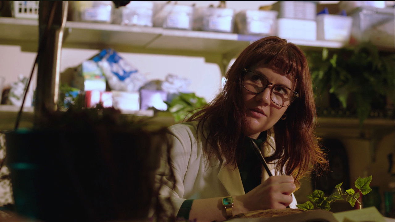 When A Doveweed Blooms backdrop