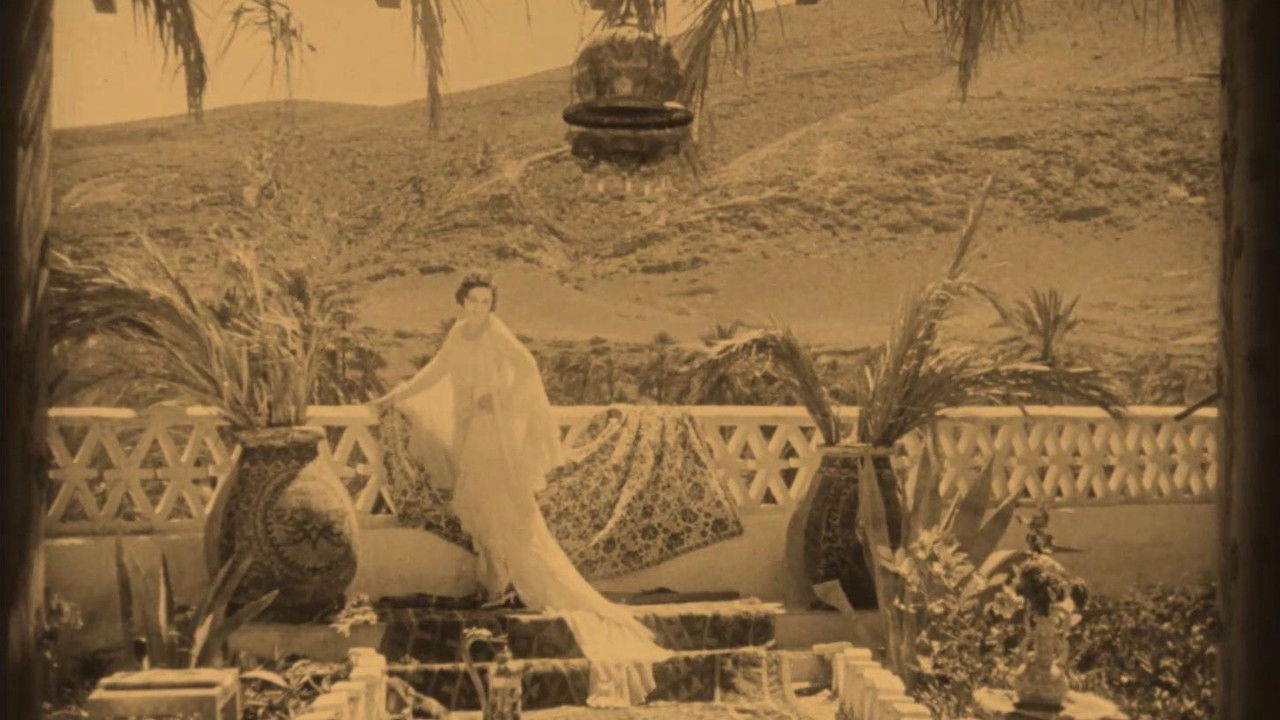 Mother Hummingbird backdrop