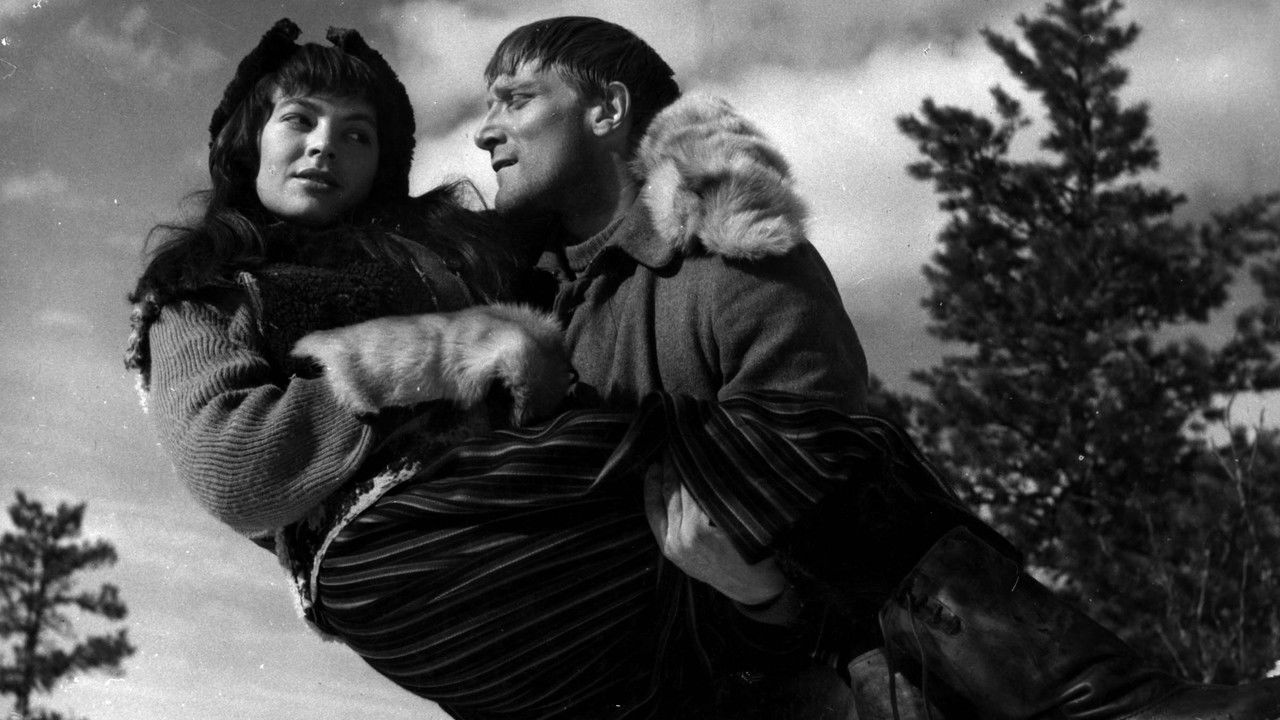 Lumisten metsien tyttö backdrop