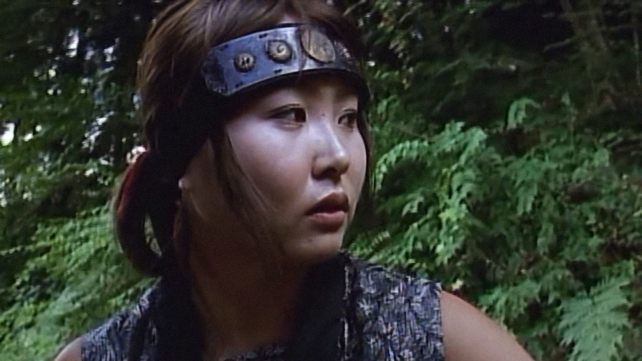 Ninja Pussy Cat backdrop