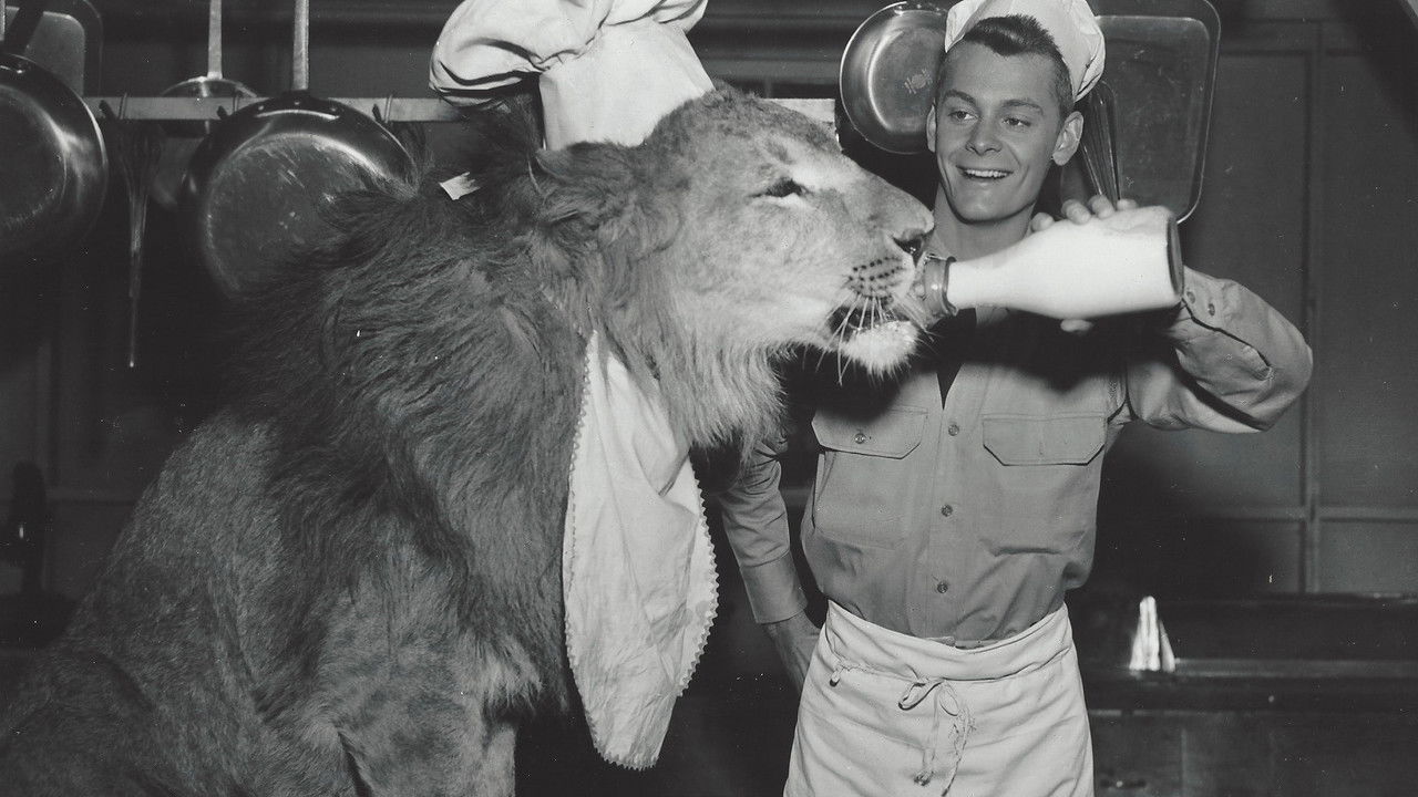 Fearless Fagan backdrop