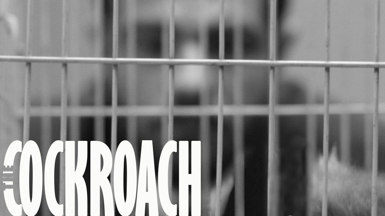 The Cockroach backdrop