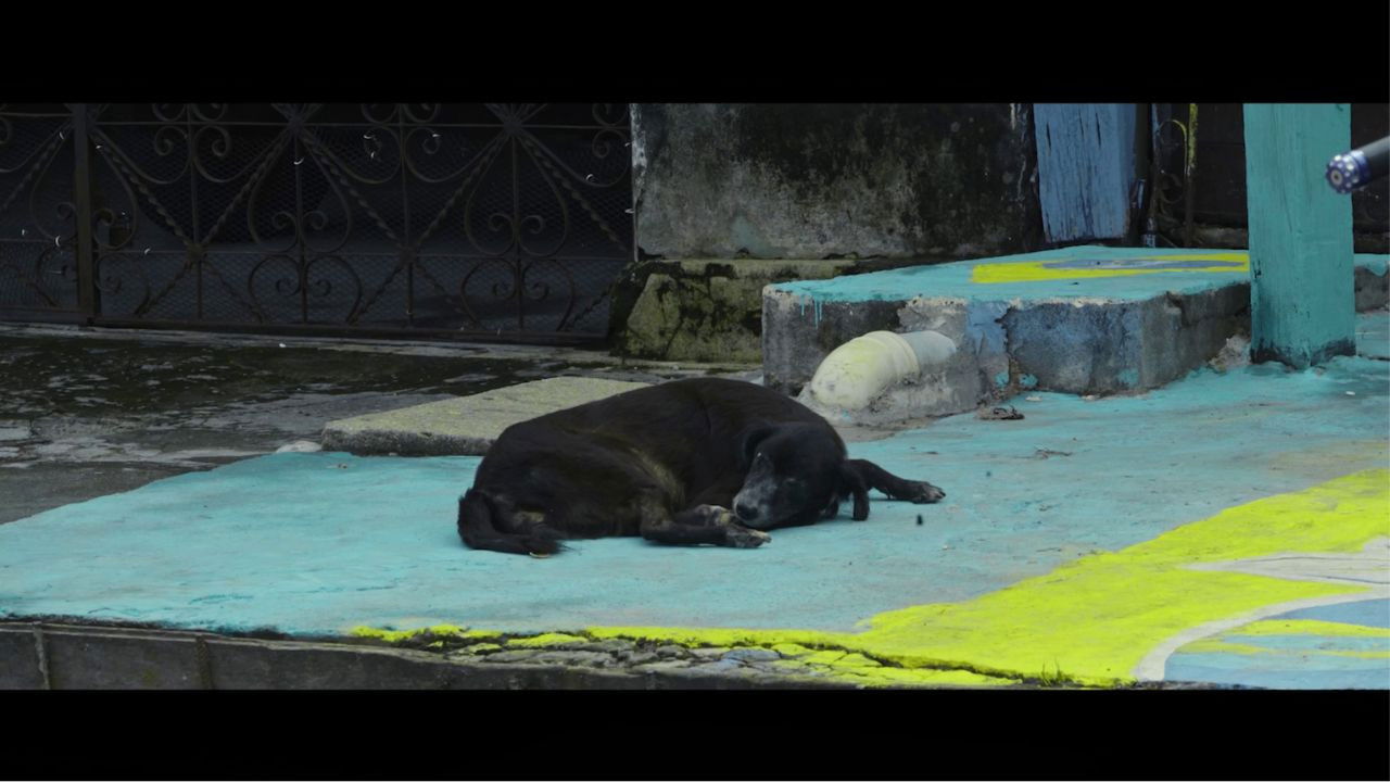 Rua da Felicidade backdrop