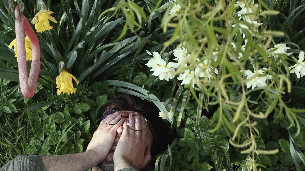 Garden Story backdrop
