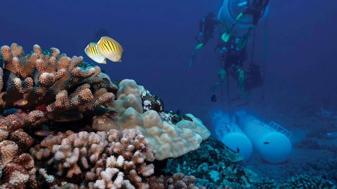 On a dormi sous la mer backdrop