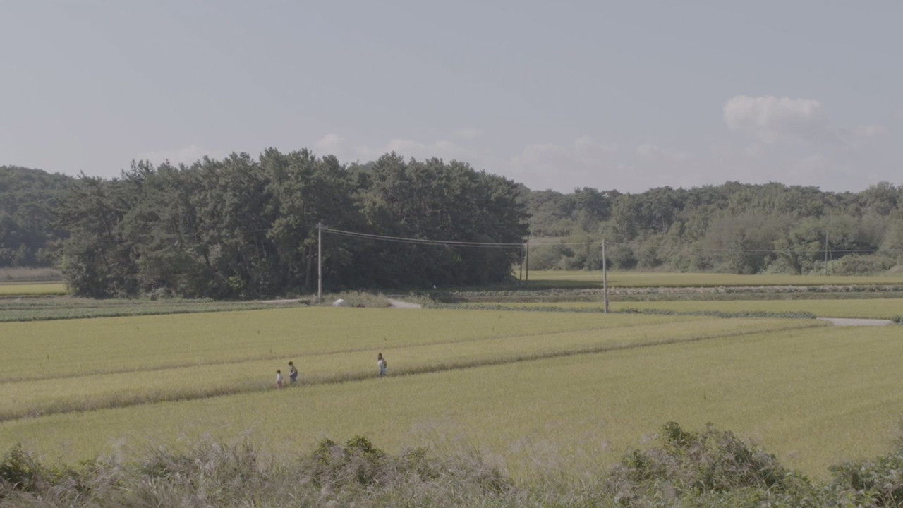 The House of Rising Sun backdrop