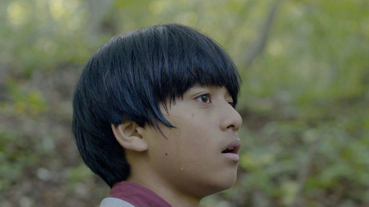 Night Light backdrop