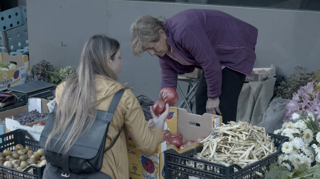 Amas da terra backdrop