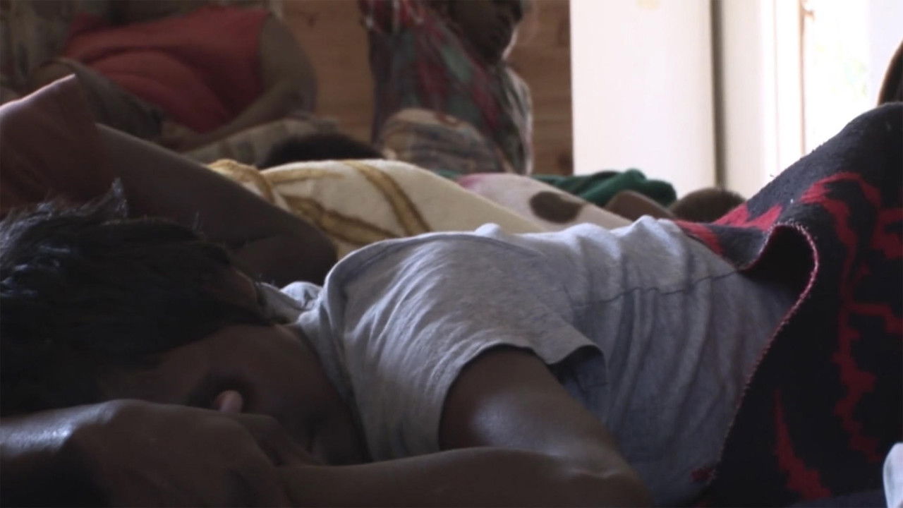 When the Dogs Talked backdrop