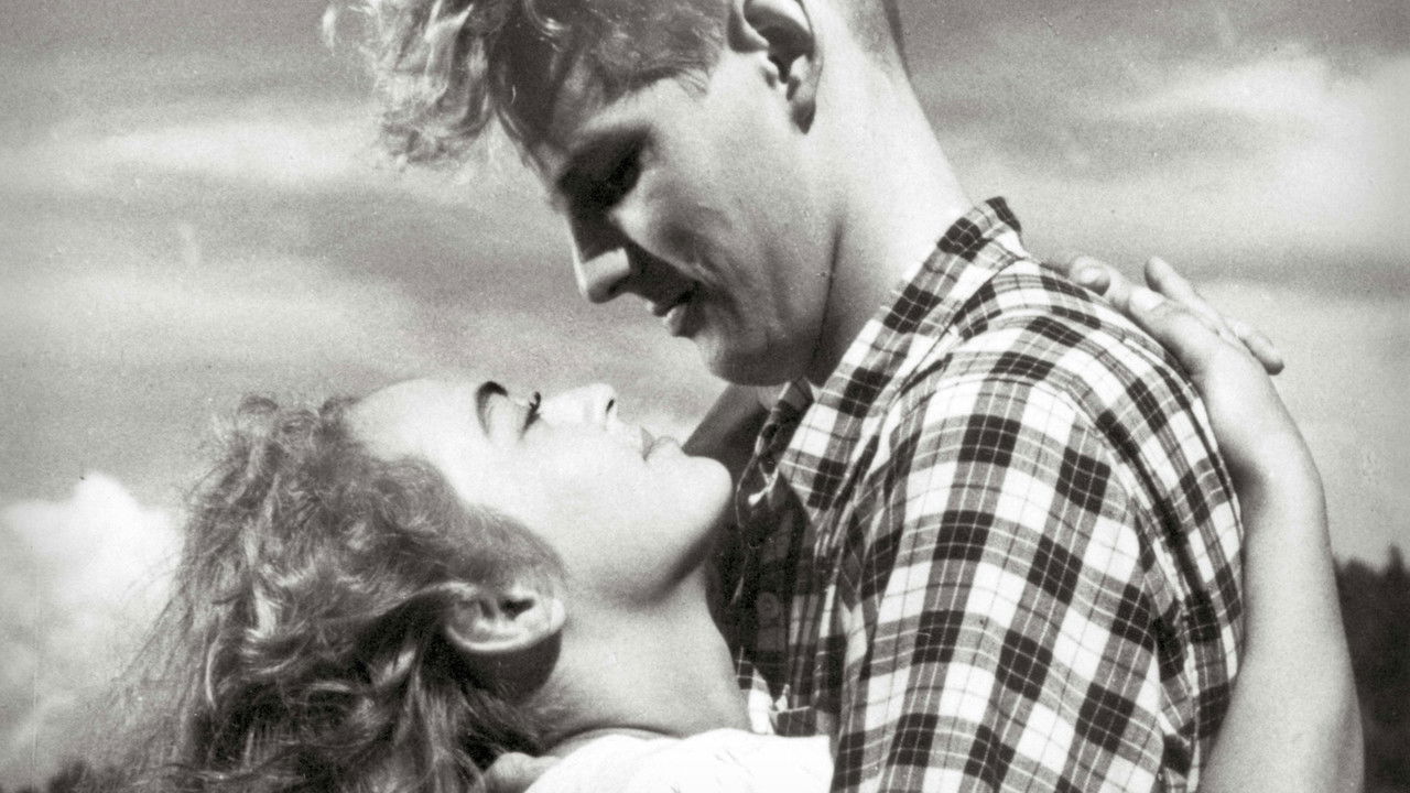 The Milkmaid backdrop