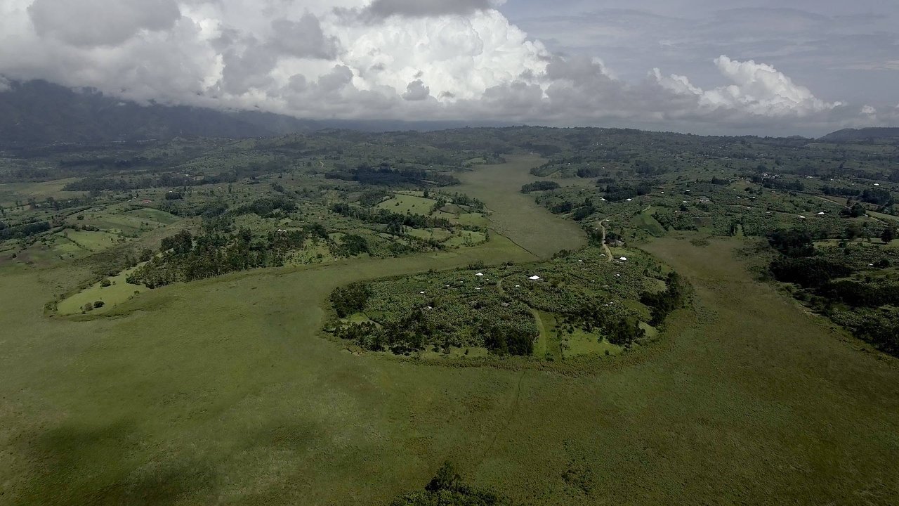 Crazy Money backdrop