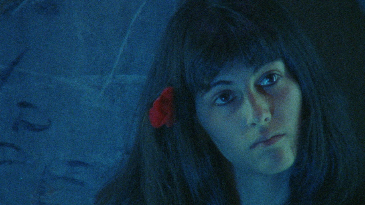 Ein Blick und die Liebe bricht aus backdrop