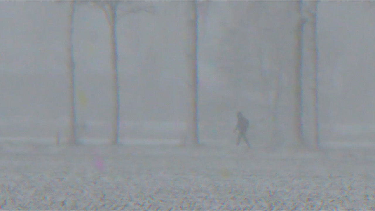 Midwinter Hue backdrop