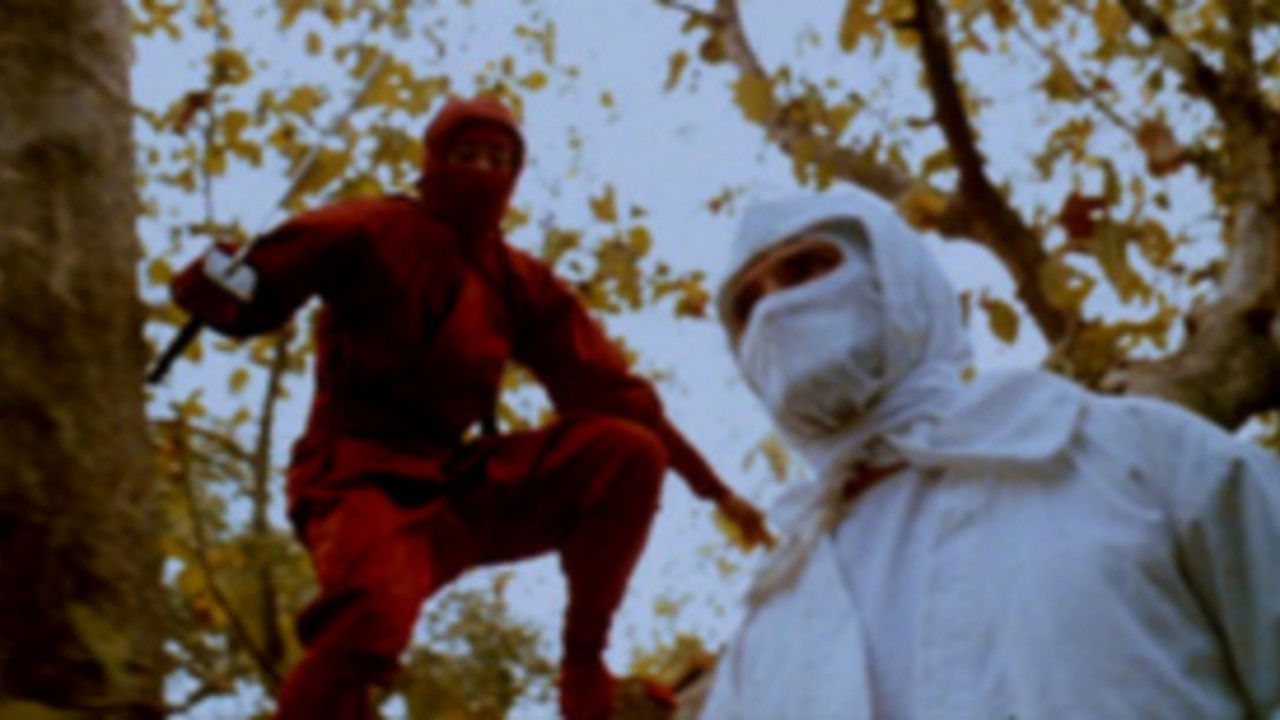 42nd Street Forever, Volume 3: Exploitation Explosion backdrop