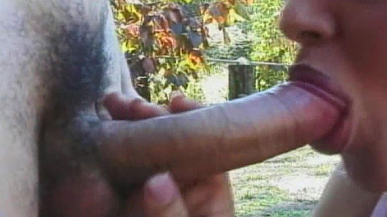 Young Tender Trannies 22 backdrop