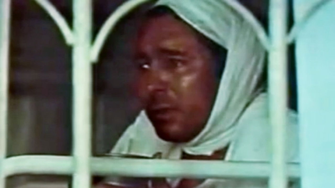 Here Comes Dad backdrop