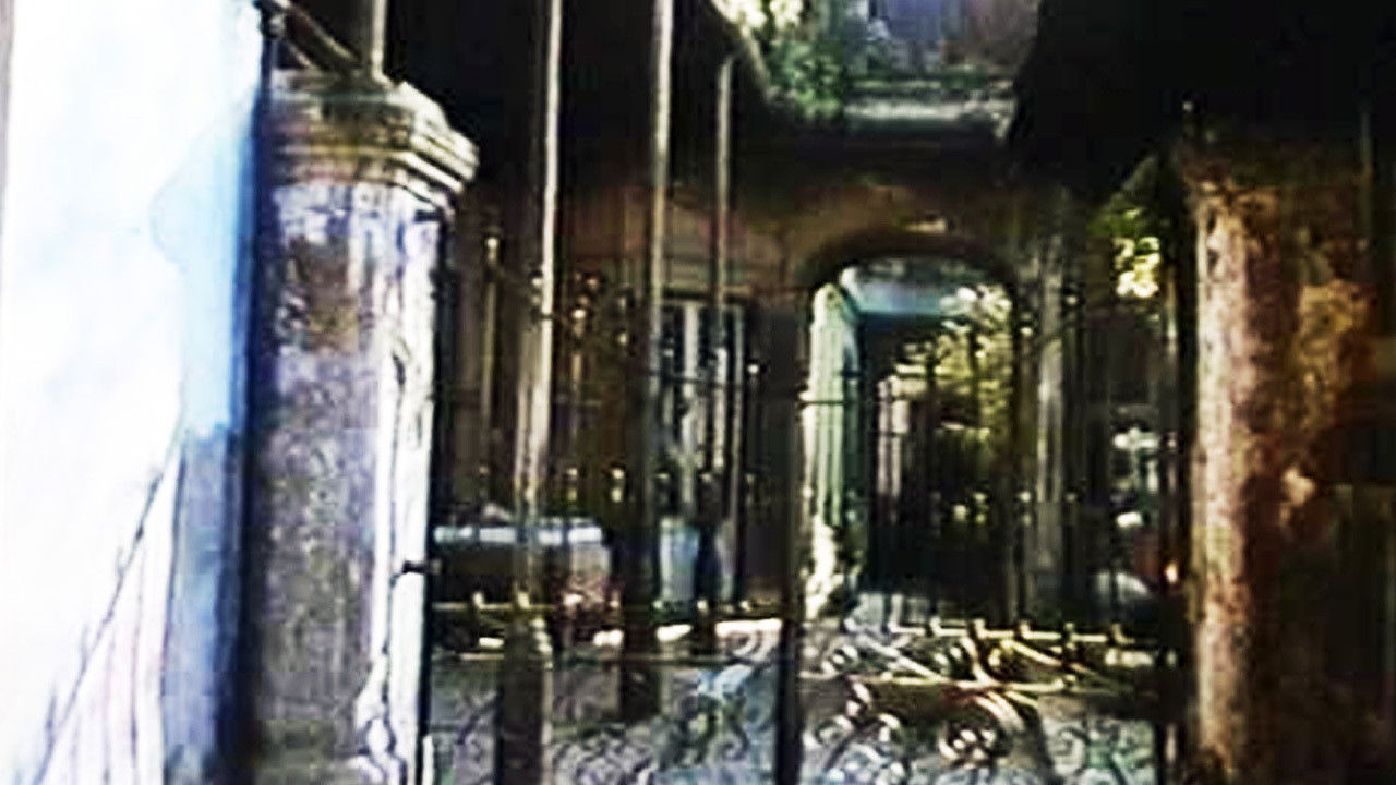 El amante de las películas mudas backdrop