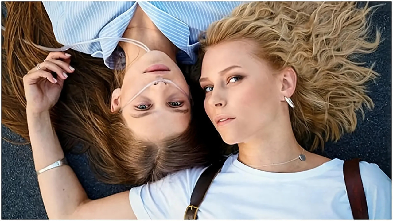 The Companion backdrop