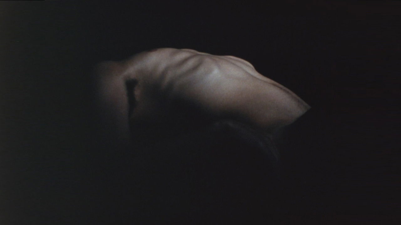 The Malady of Death backdrop