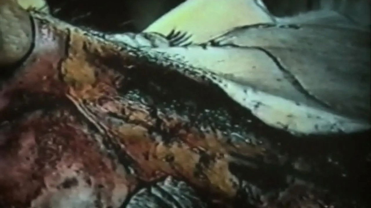 Christian B. backdrop