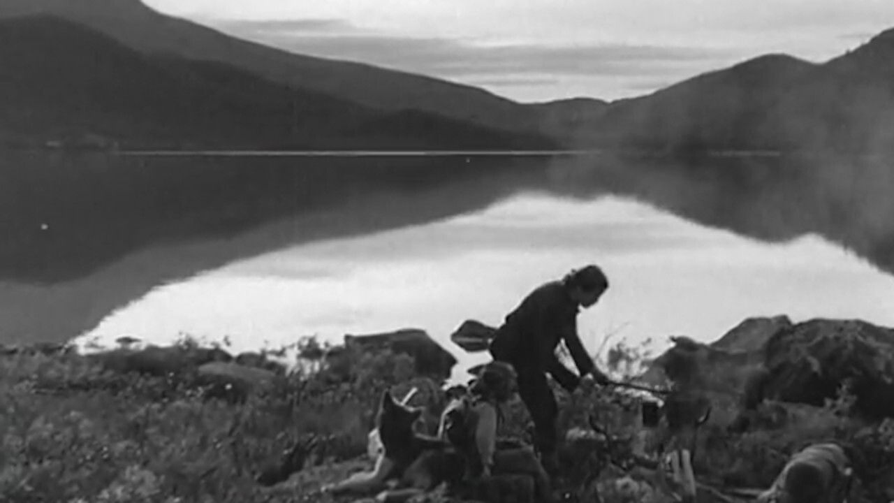Bonfire Evening in the Mountains backdrop
