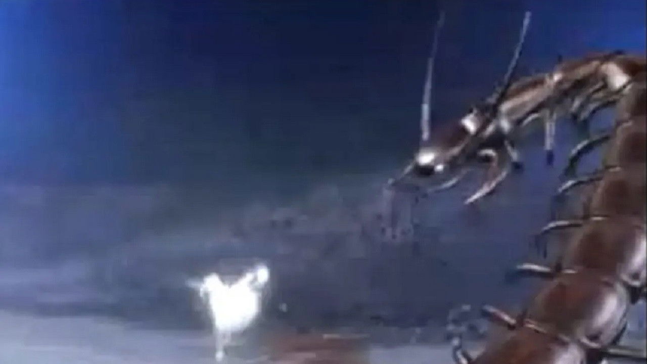 Fairy of the Chalice backdrop