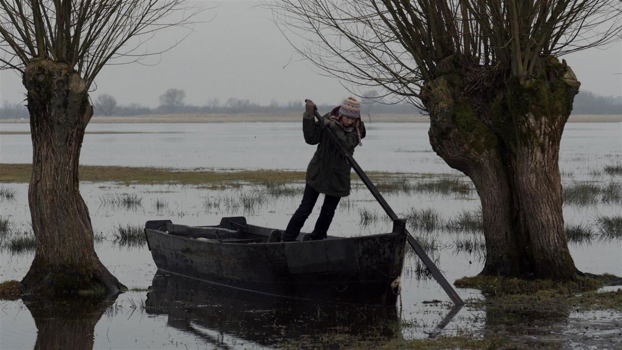 Other Side of Silence backdrop