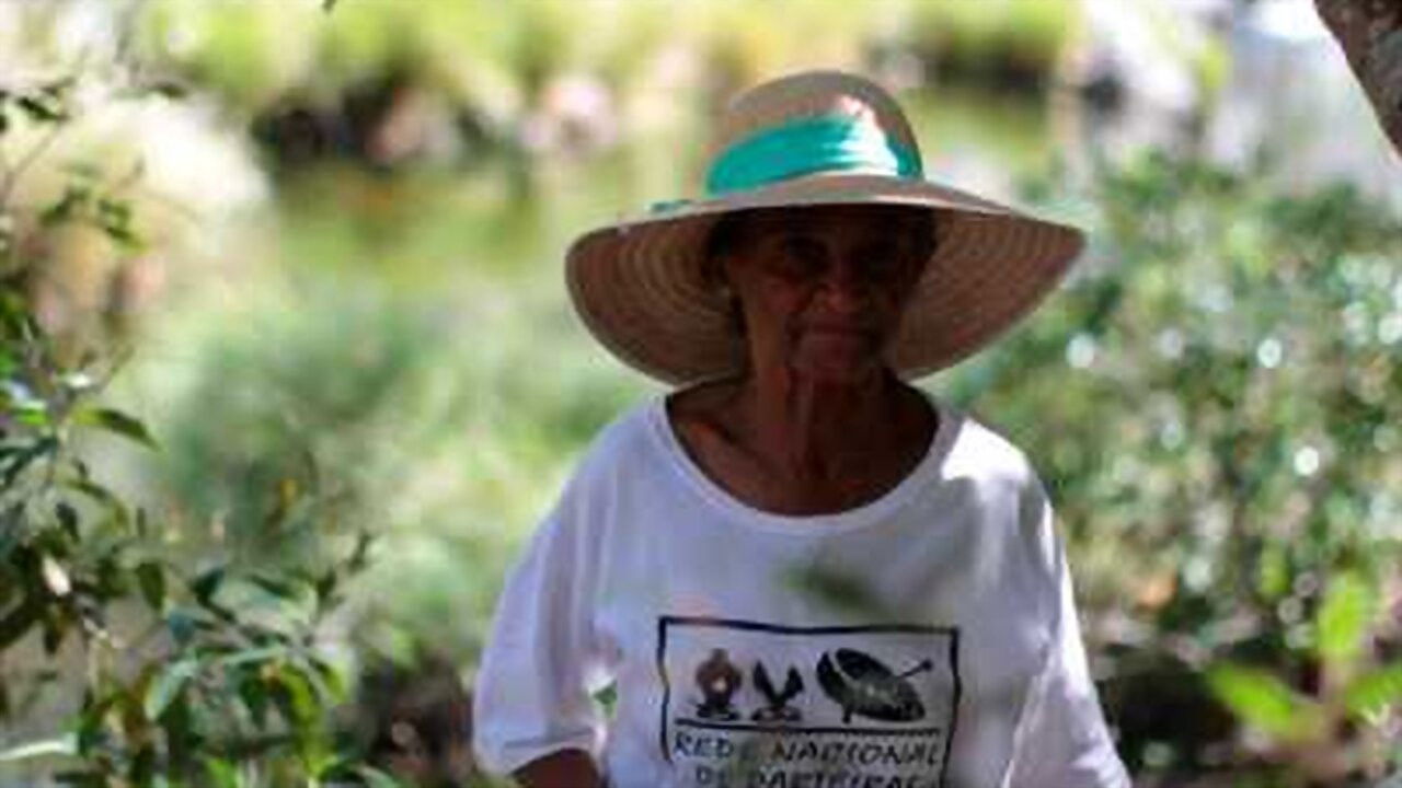 Flor do Moinho backdrop
