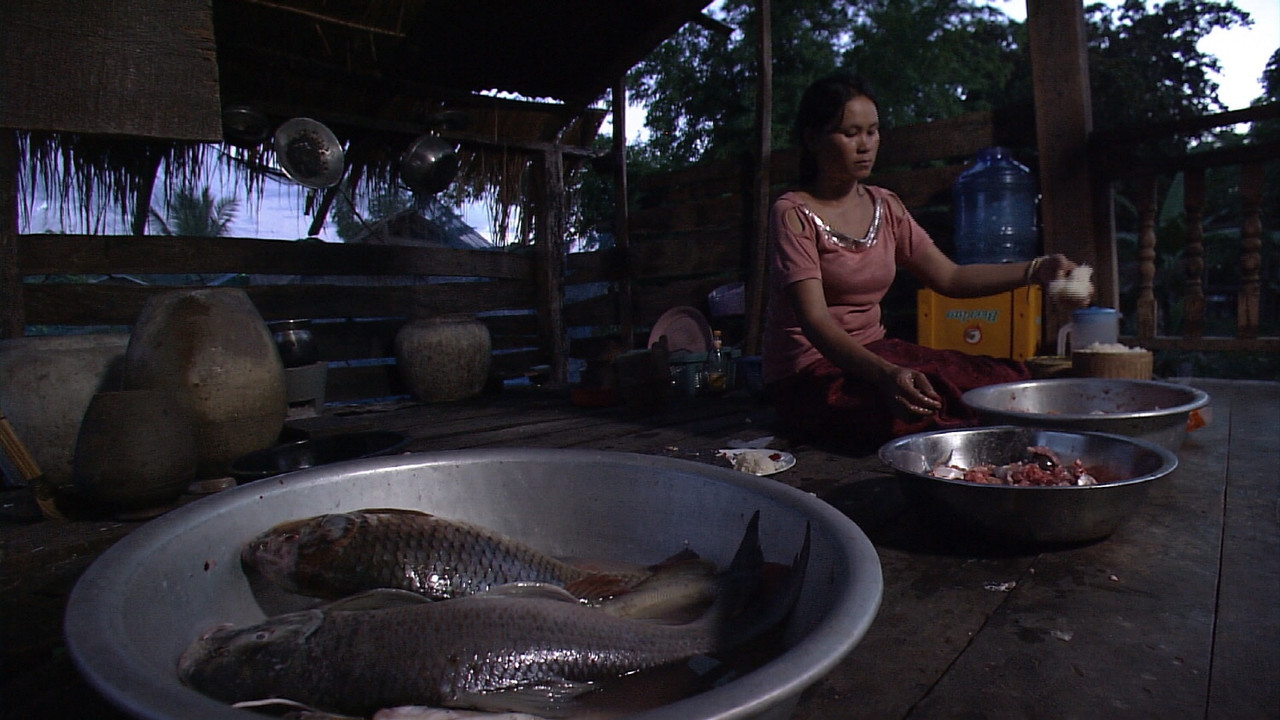 Super Fish - An Endless Adventure backdrop