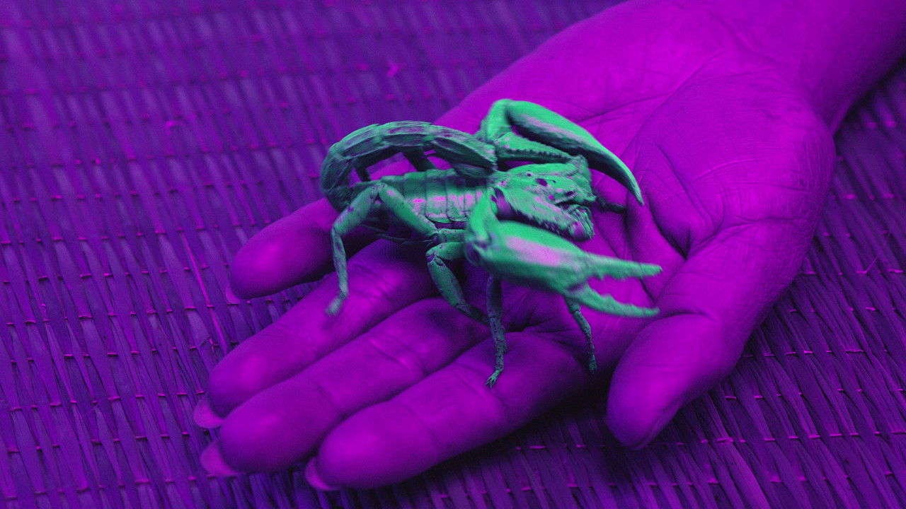 Ultraviolet backdrop