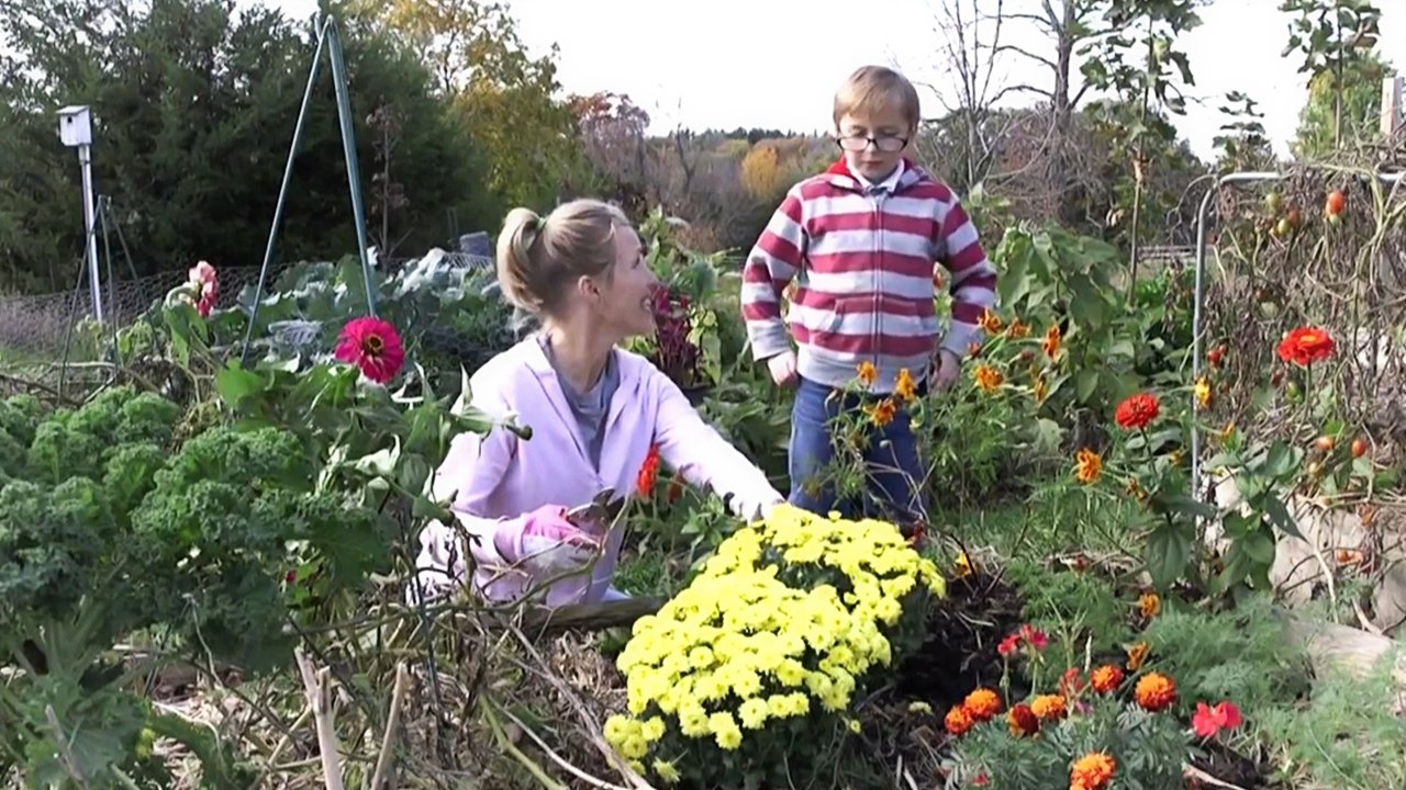 The Open Door backdrop