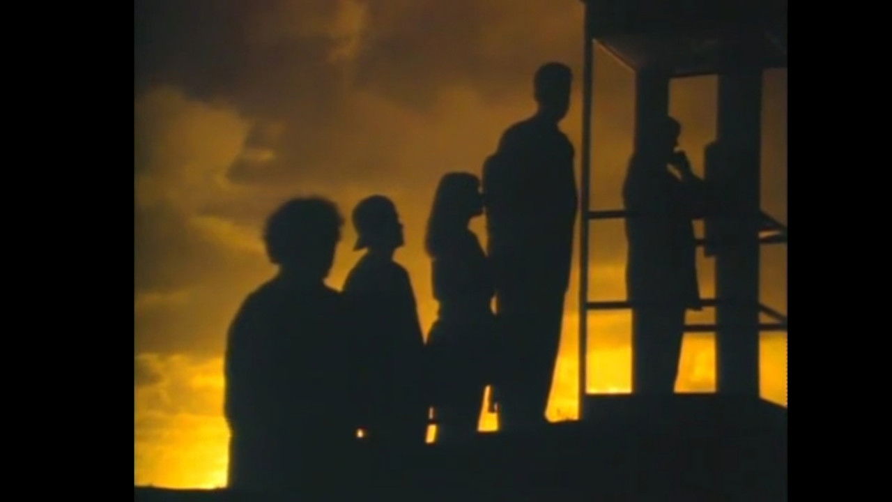 Mr. Petrified Forrest backdrop