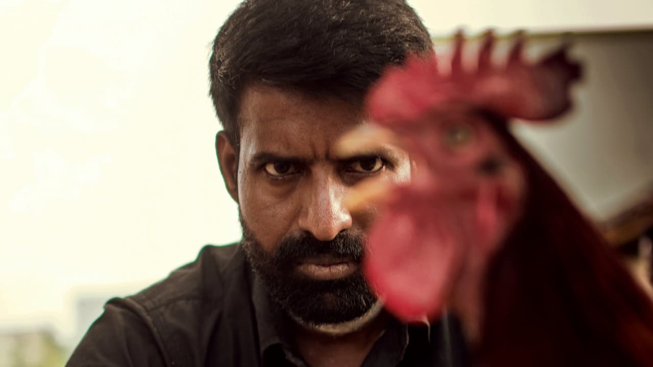 The Adamant Girl backdrop