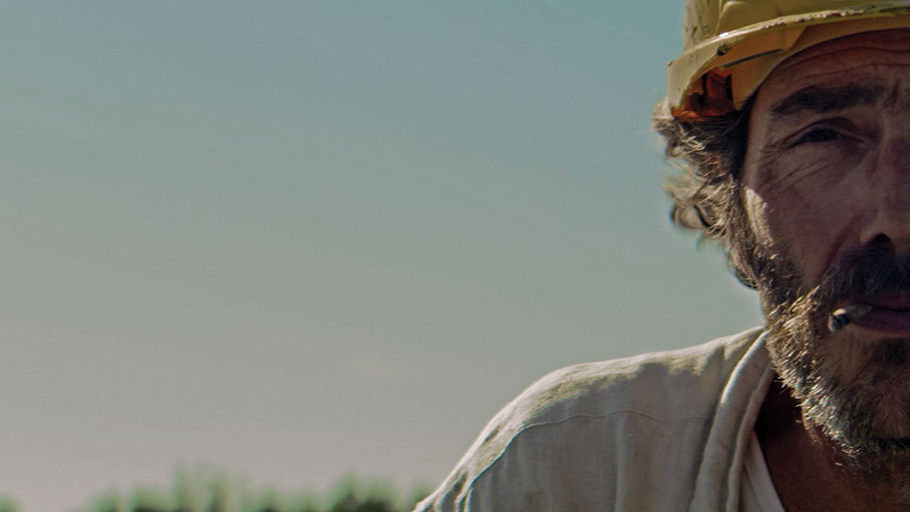 Happy Birthday backdrop