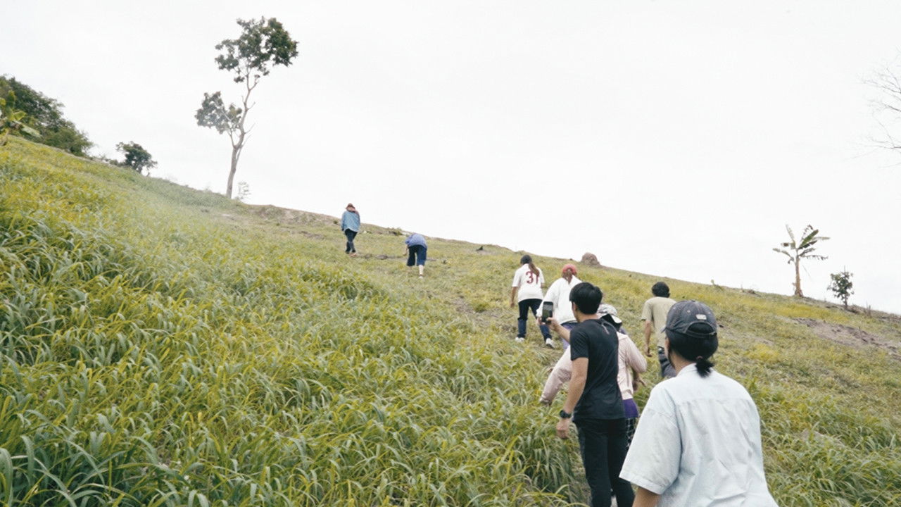 i dreamed I was alone backdrop