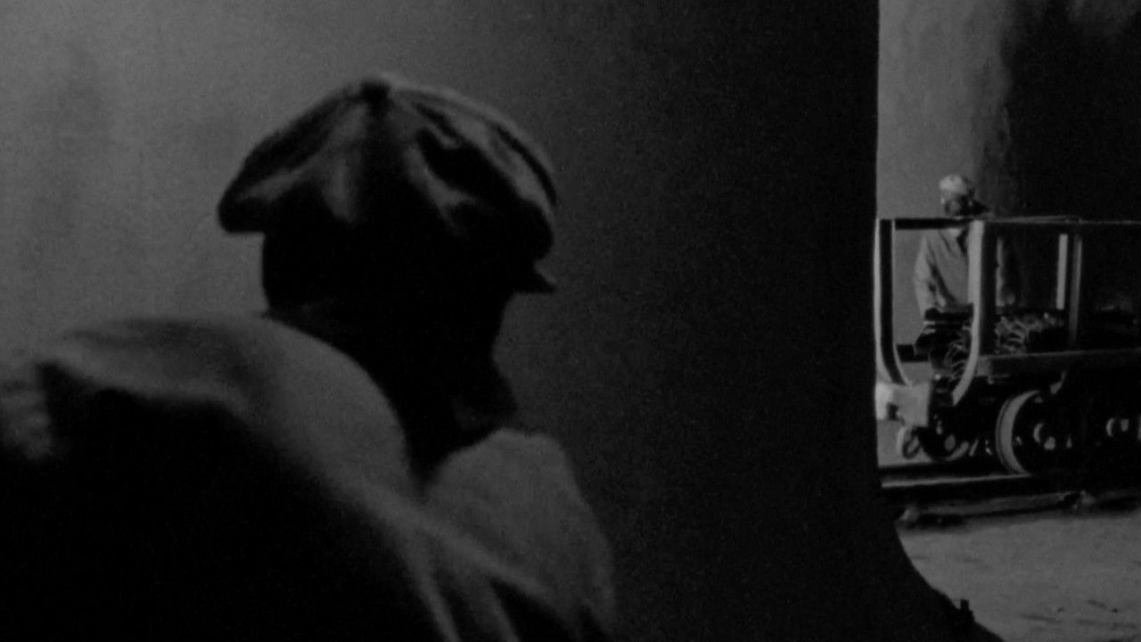 In Another Homeland backdrop