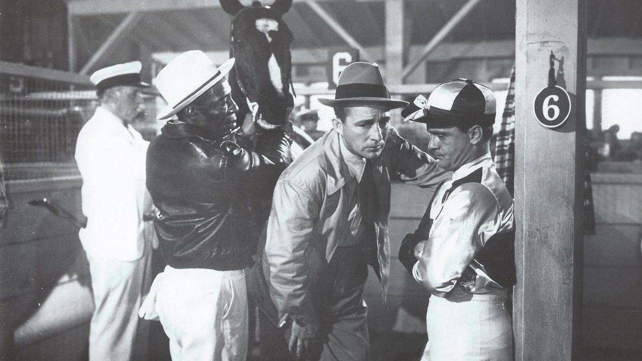 Riding High backdrop