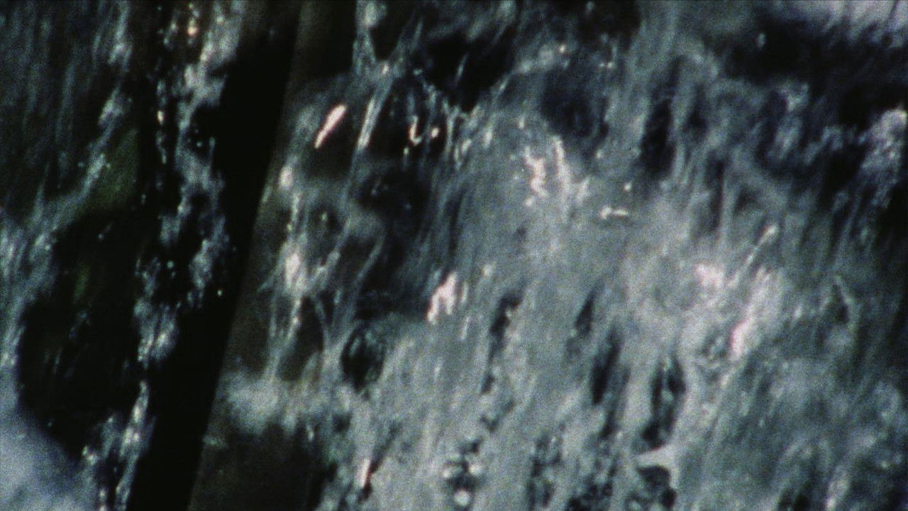 A Rain of Roses (To Rose Lowder) backdrop