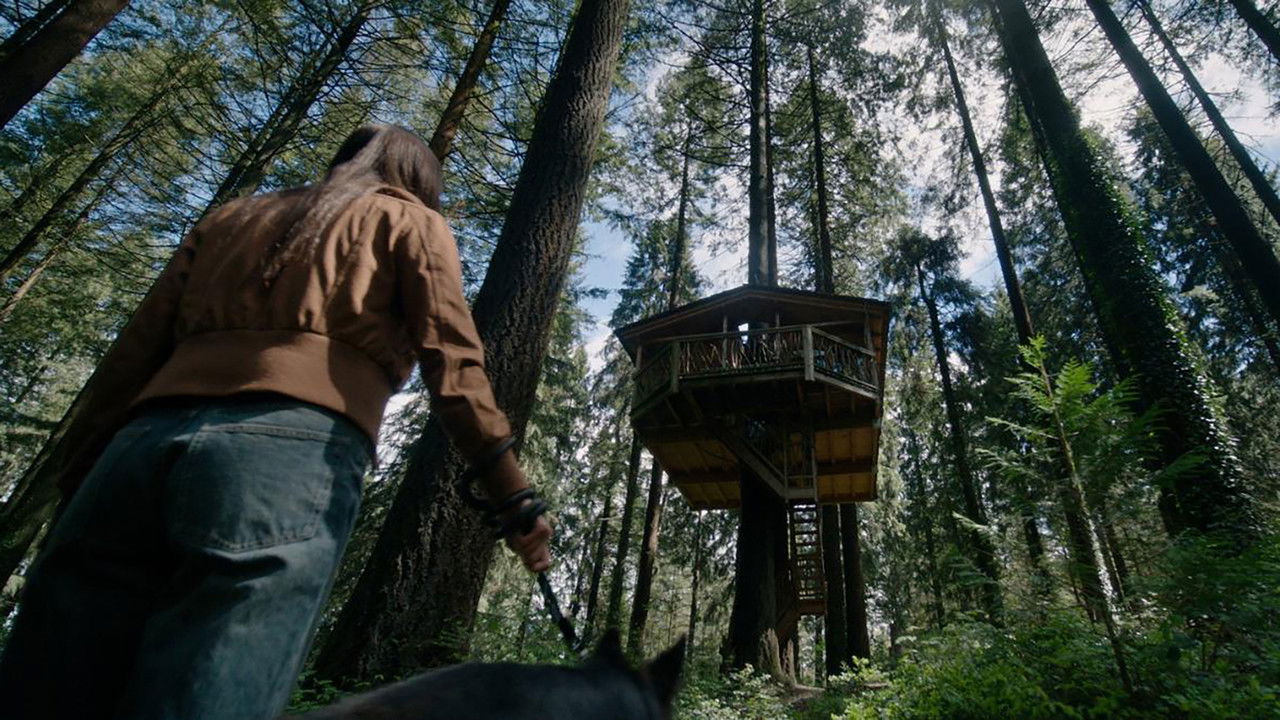 The Treehouse backdrop