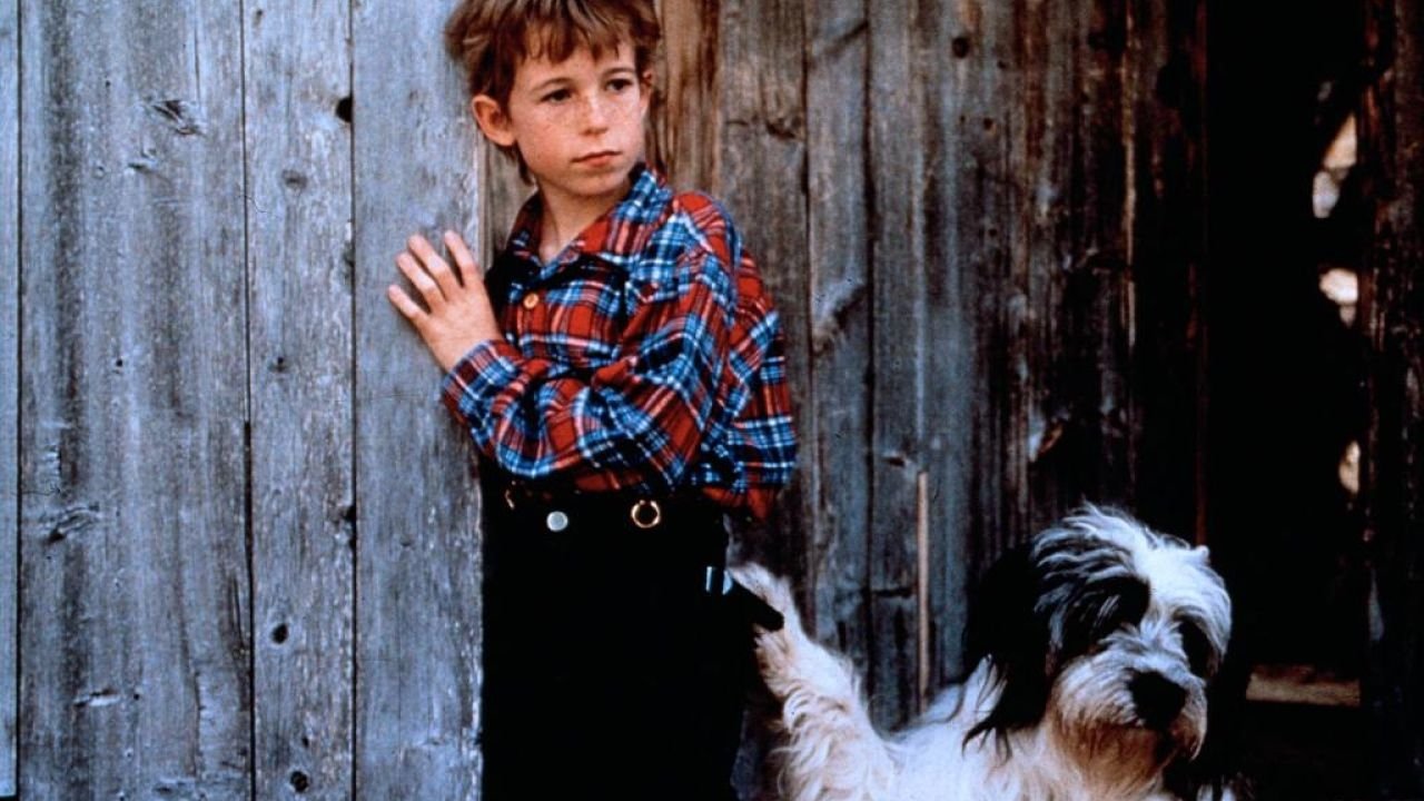 Weihnachten mit Willy Wuff backdrop