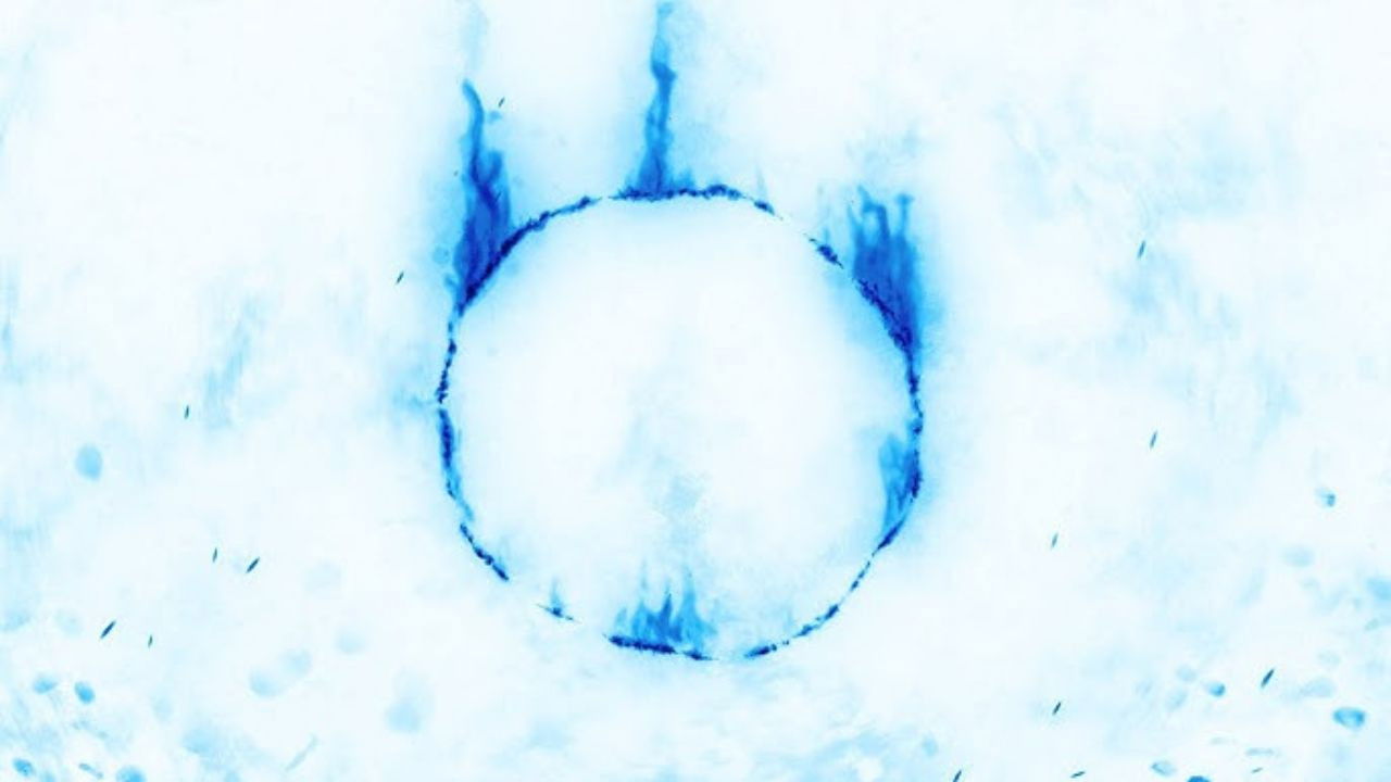 Sabaku, Cydonia e Dark Souls | IL FILM [REVAMPED] backdrop