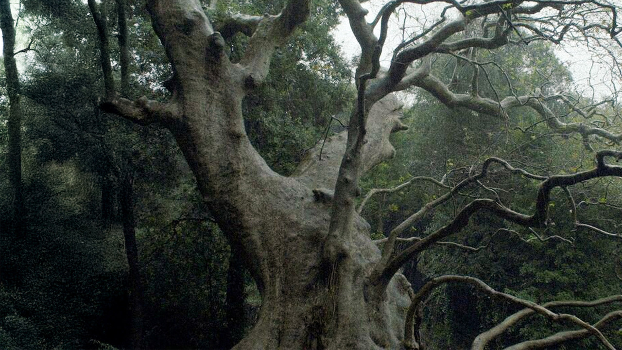 Nuovo cinema paralitico backdrop