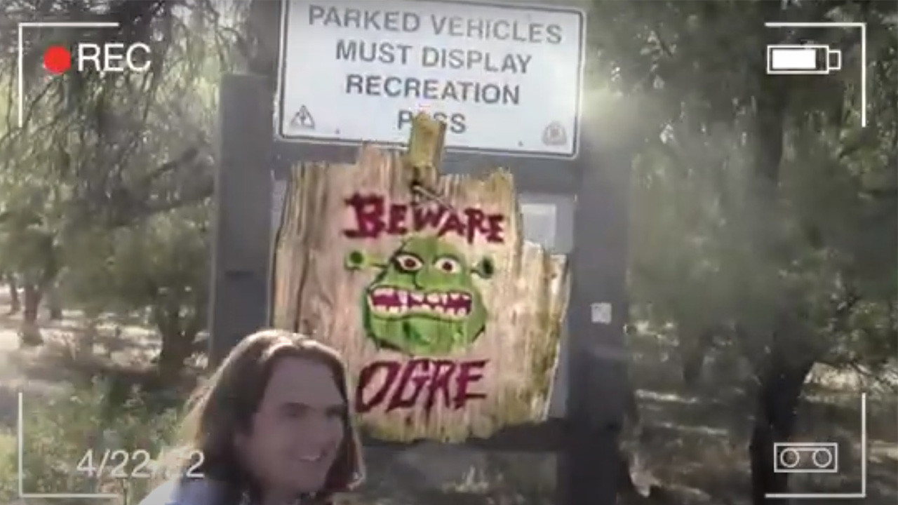 The Blair Swamp Project backdrop