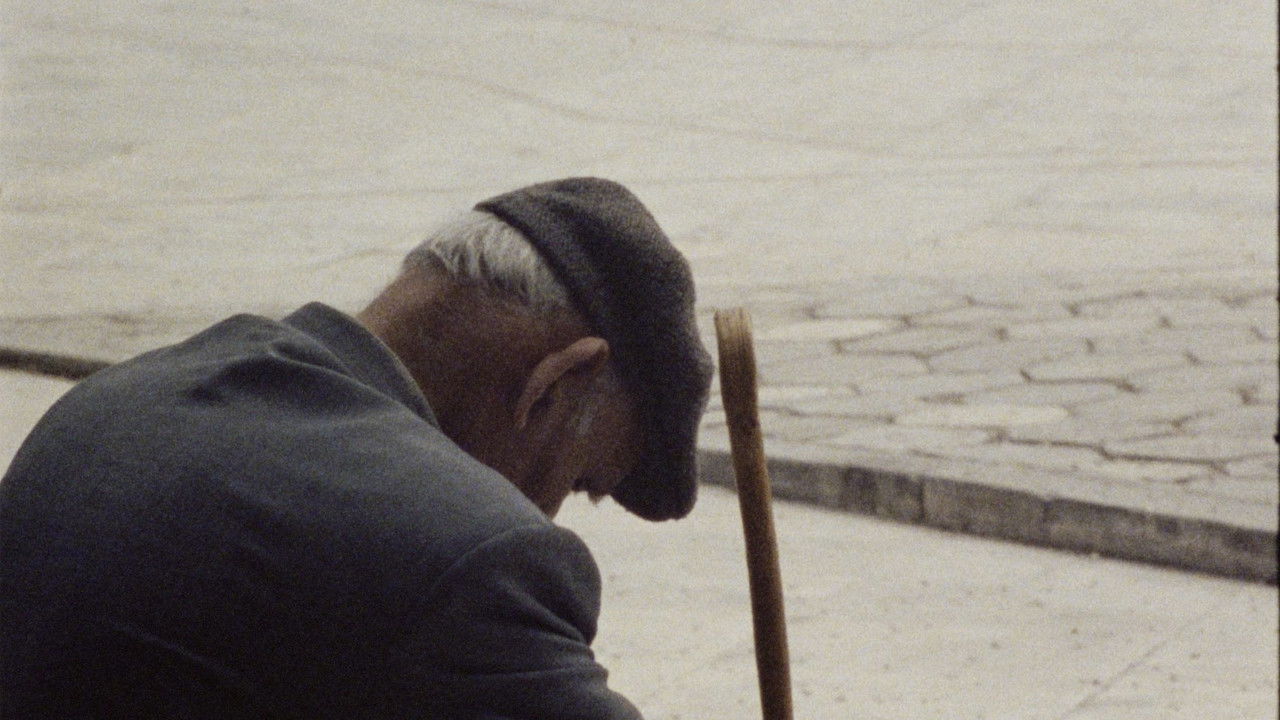 Among the Eucalyptuses backdrop